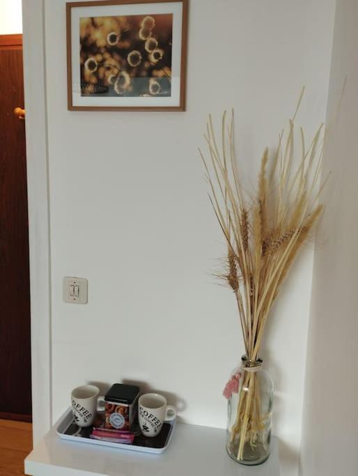 Appartement Le Ptit Nid De Louviers Tv/Fibre Extérieur photo